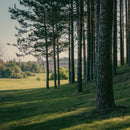 Course Design Day