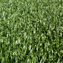 Tee Pad MINI (1 x 1 m)
